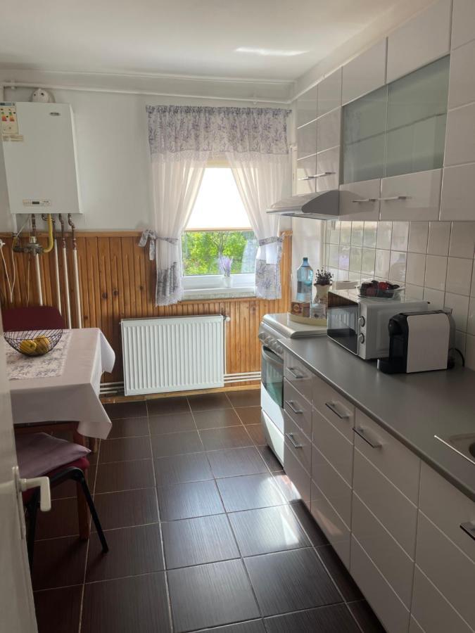 L&D Apartament Apartment Sibiu Exterior foto